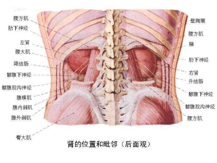 点击图片进入下一页