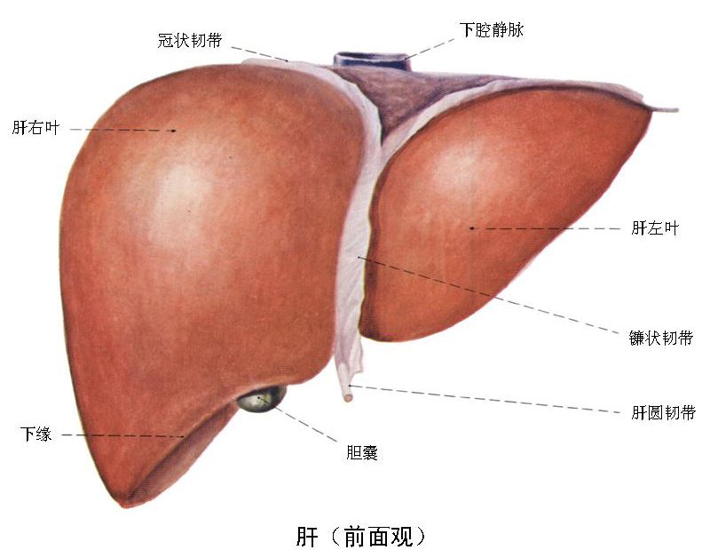 点击图片进入下一页